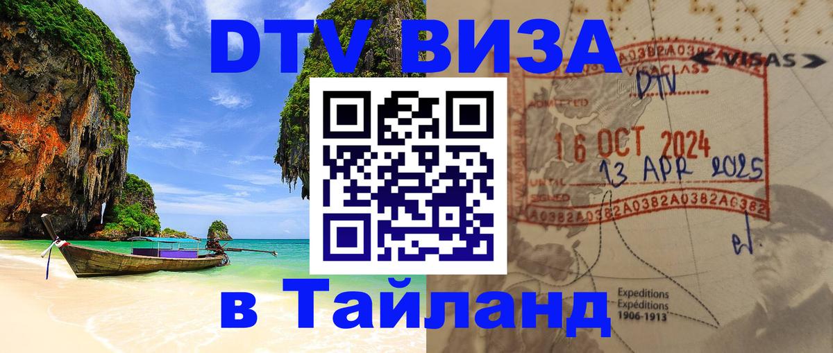 Оформление DTV визы под ключ: стоимость и тарифы, только загранпаспорт - 